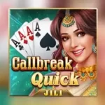 callbreak quick